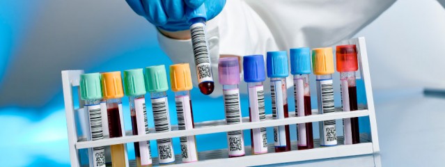 De vertaling naar een eigentijdse en menselijke website