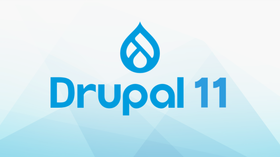 Drupal 11 core upgrade