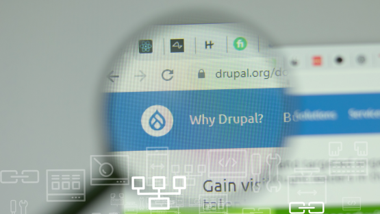 afbeelding van drupal website