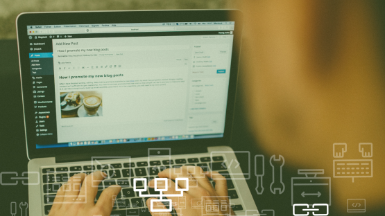 Wordpress trends